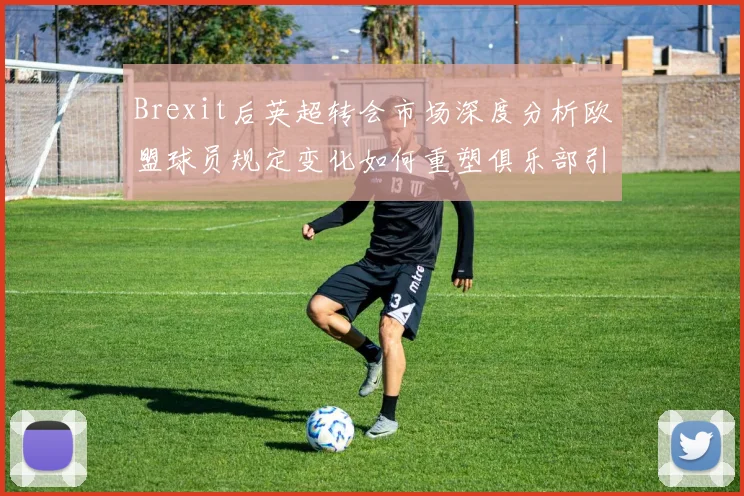 Brexit后英超转会市场深度分析欧盟球员规定变化如何重塑俱乐部引援策略与数据趋势